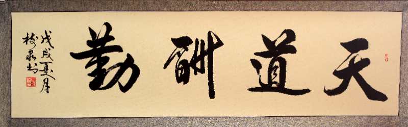 豆树隶