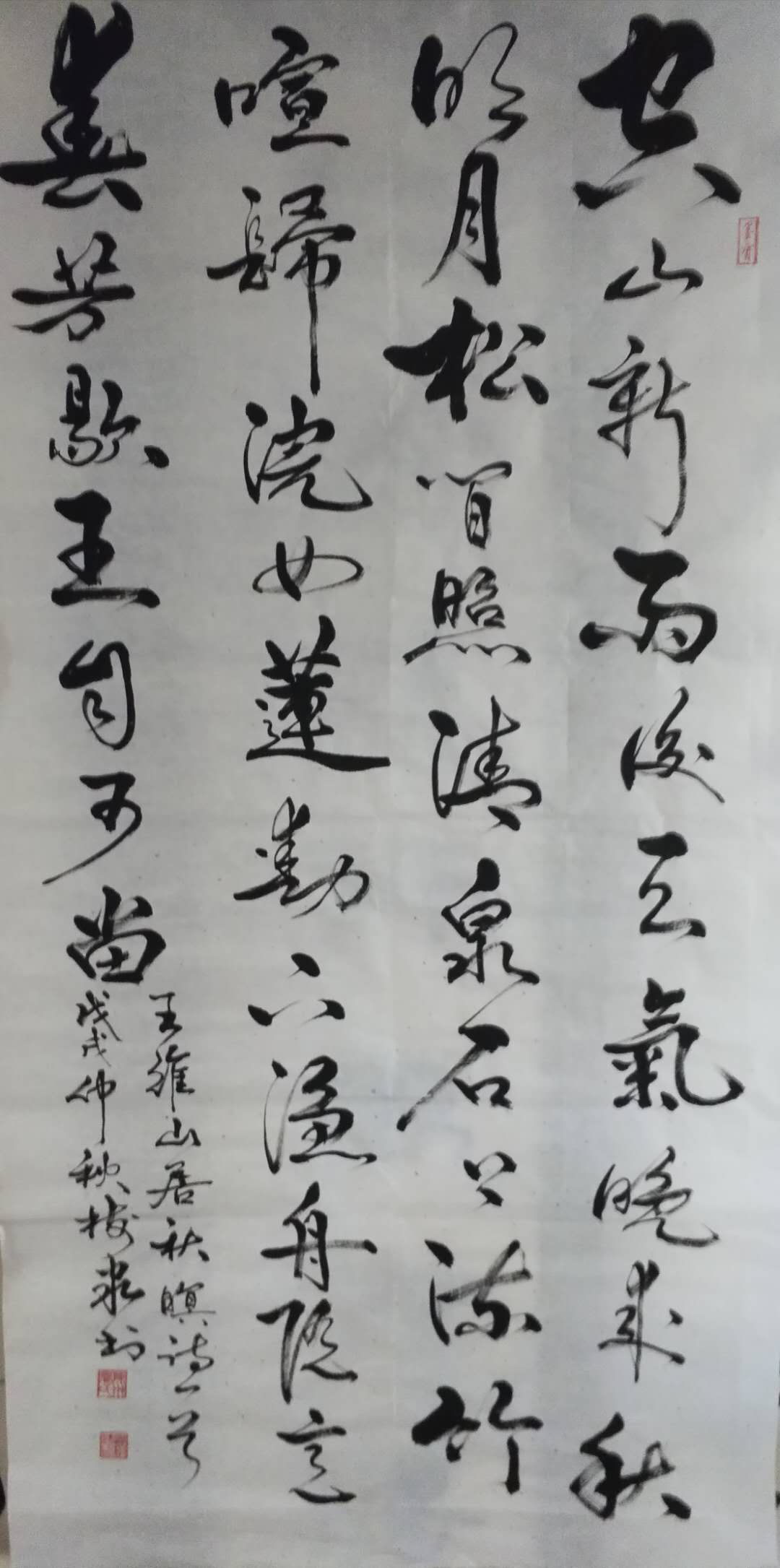 豆树隶